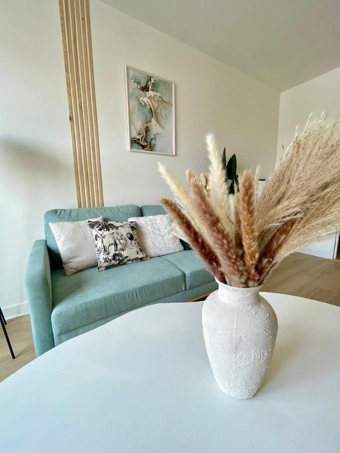 Ferienwohnung La Douceur Roannaise - Parking Prive Proche Gare Roanne Exterior foto